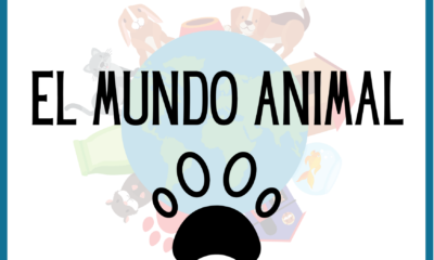 animales letra