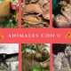 animales letra