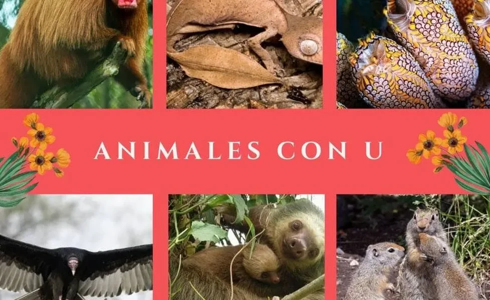 animales letra