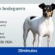 bodeguero andaluz