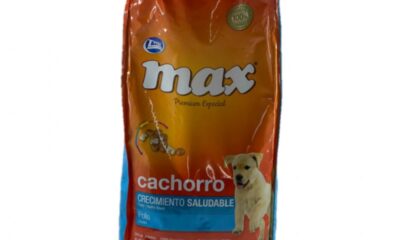 cachorro 2