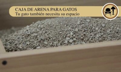 caja arena