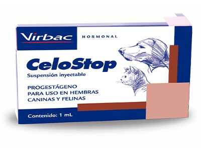 celo perra