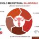 ciclo menstrual