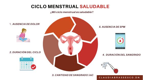 ciclo menstrual