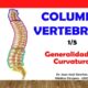 columna vertebral