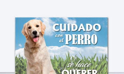 cuidado perro