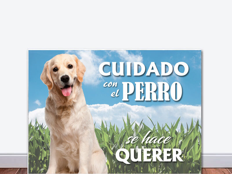 cuidado perro