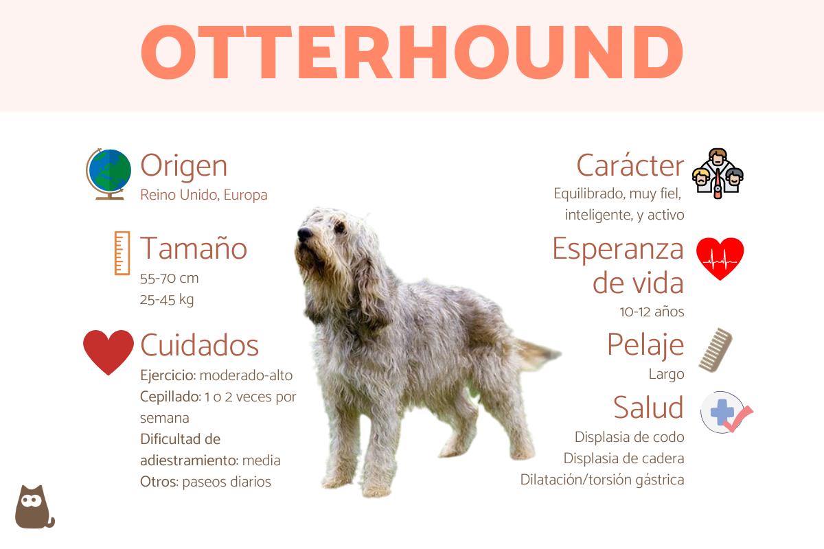 el otterhound