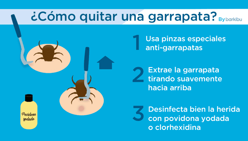 eliminar garrapatas