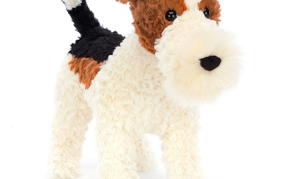 fox terrier