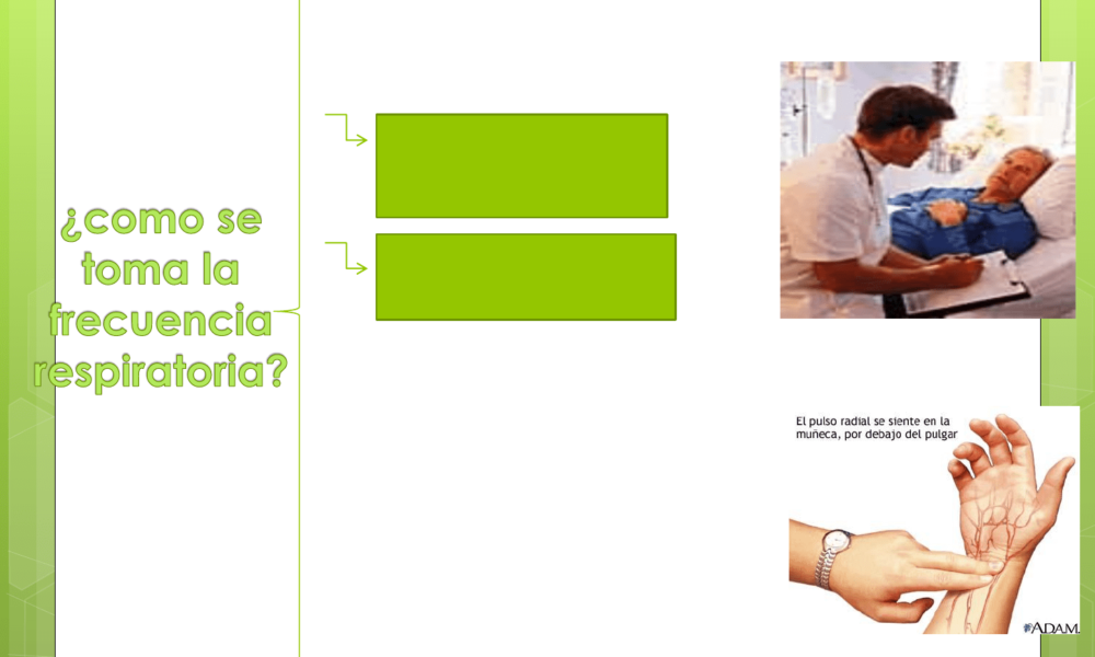 frecuencia respiratoria