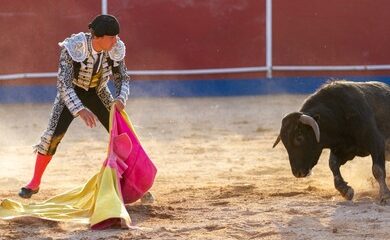 la tauromaquia