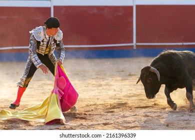 la tauromaquia