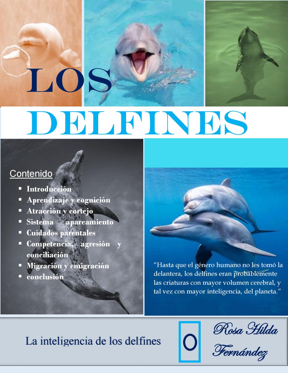 los delfines