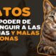 los gatos