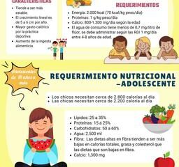 necesidades nutricionales