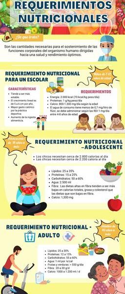 necesidades nutricionales