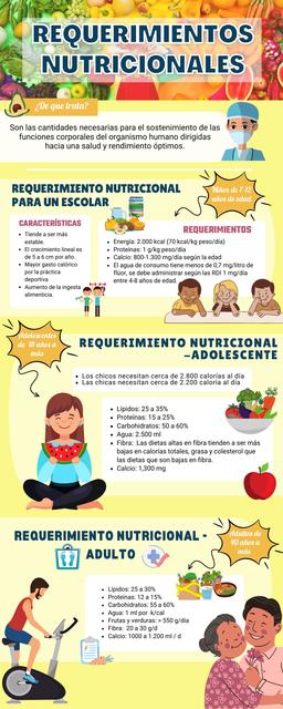 necesidades nutricionales