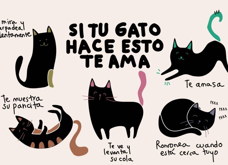 si gato