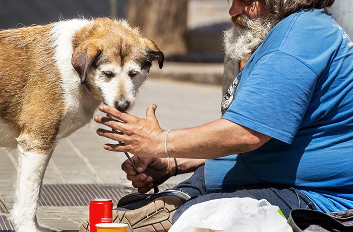 si perro