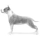 staffordshire terrier