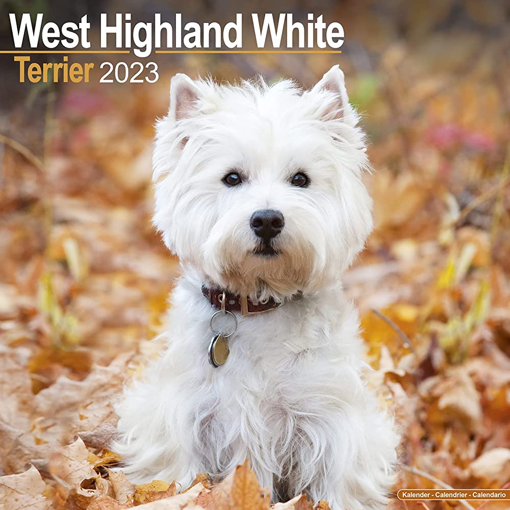 west highland