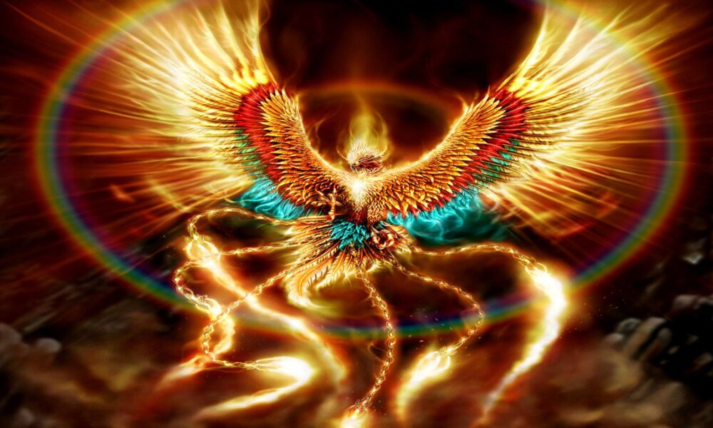 ave fenix