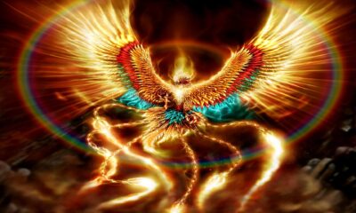 ave fenix