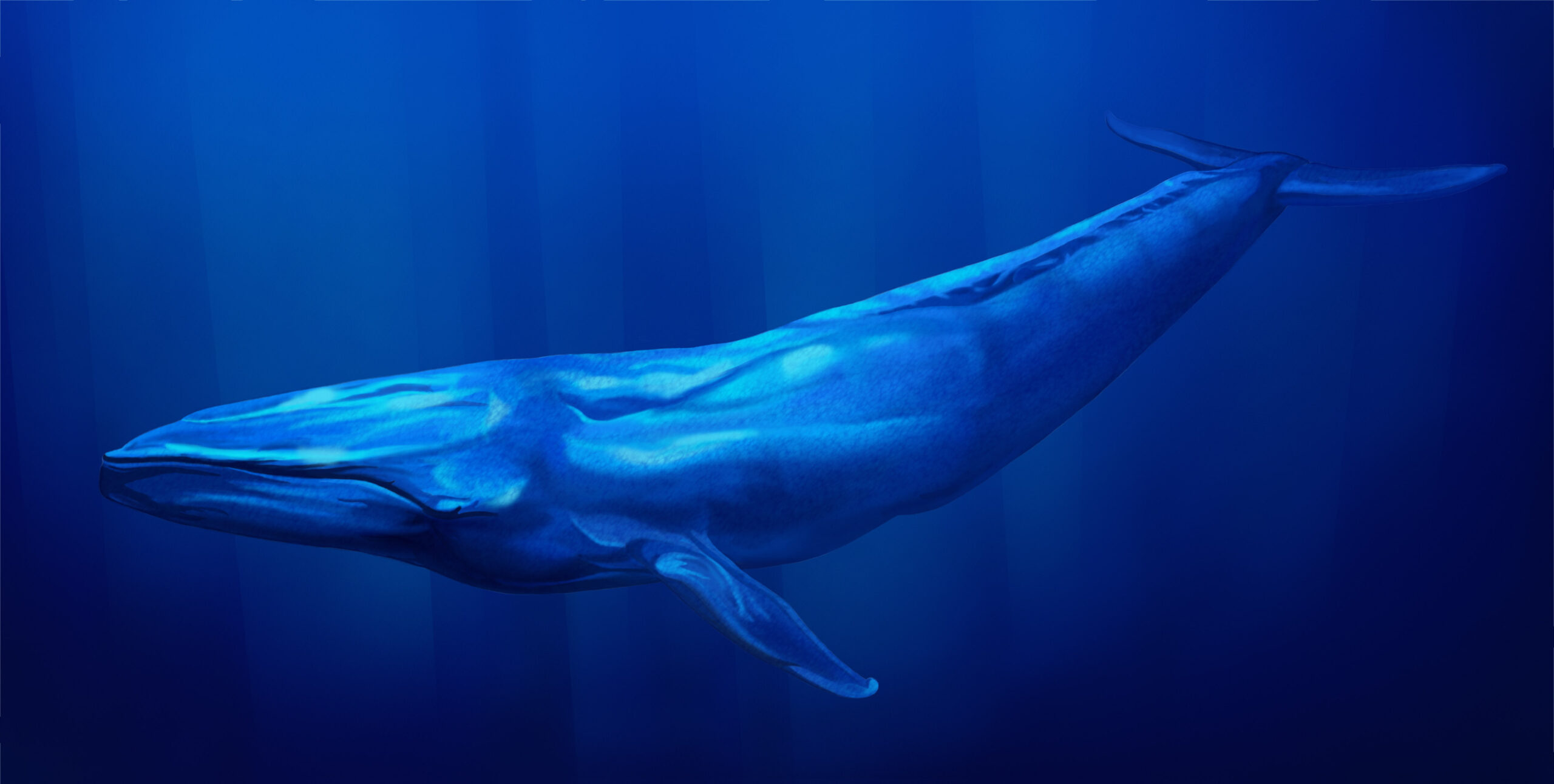 ballena azul