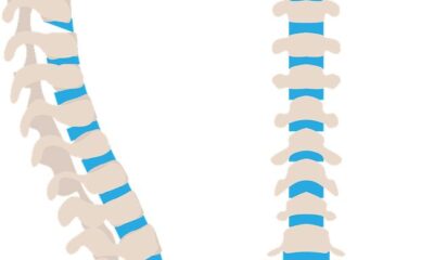 columna vertebral