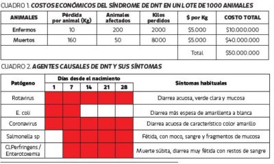 diarrea moco