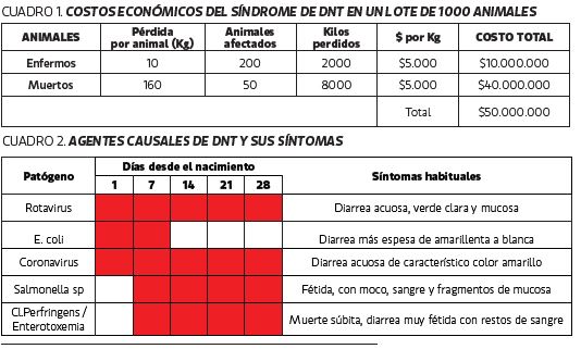 diarrea moco