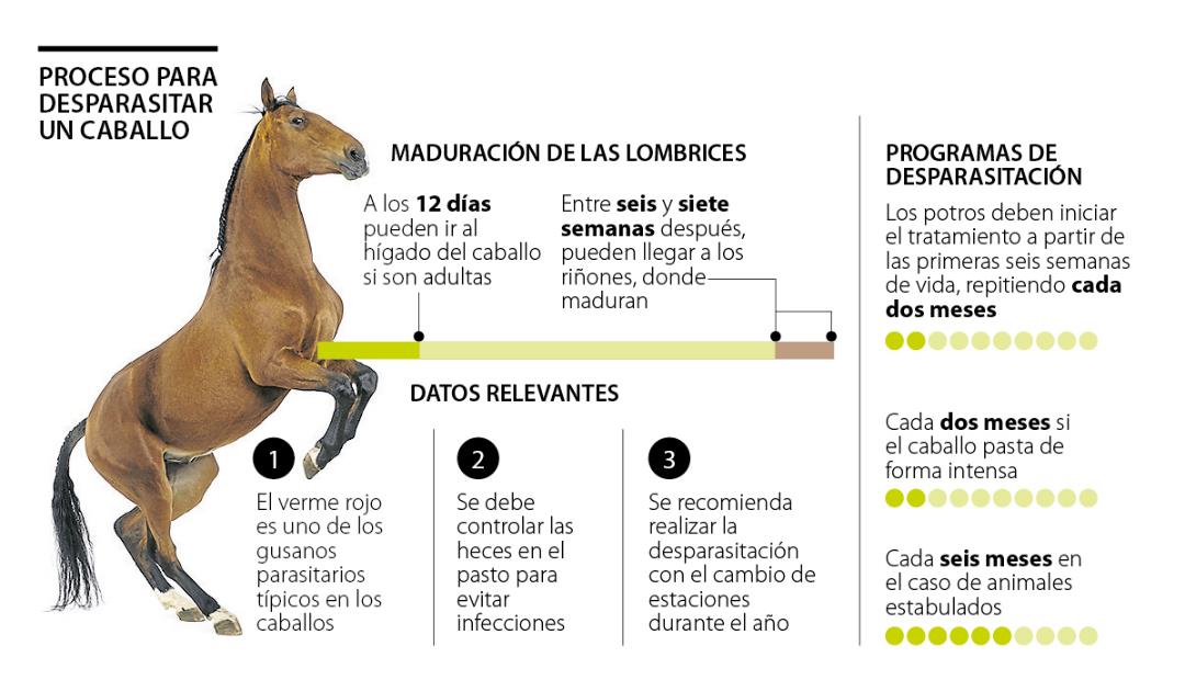 heces desparasitar