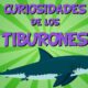 los tiburones