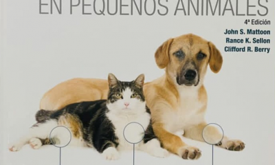 pequenos animales