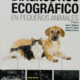 pequenos animales