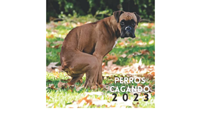 perro caga