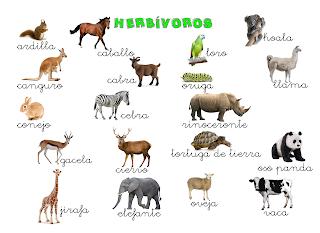 son animales